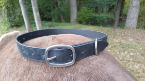 Obojek pro koně
