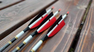 Kvalitní 100% carbonový šíp 30´ (800 - 6,2mm)