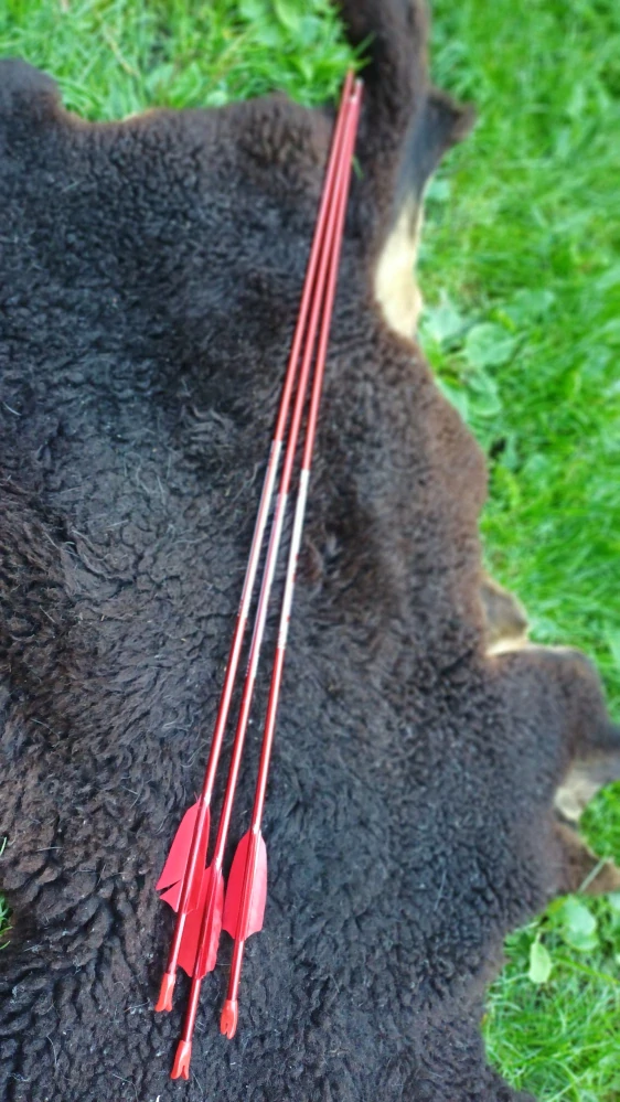 Červené šípy Nemethy (100% Carbon) 32´/700 spine)